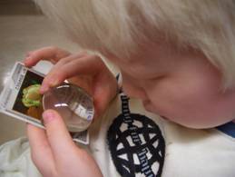 (写真5)視覚障害児が拡大鏡を使用してカードゲーム