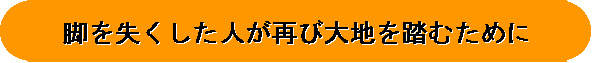 タイトル−脚を失くした人が再び大地を踏むために