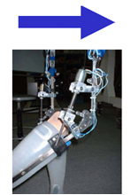 New gait orthosis