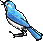EBluebird