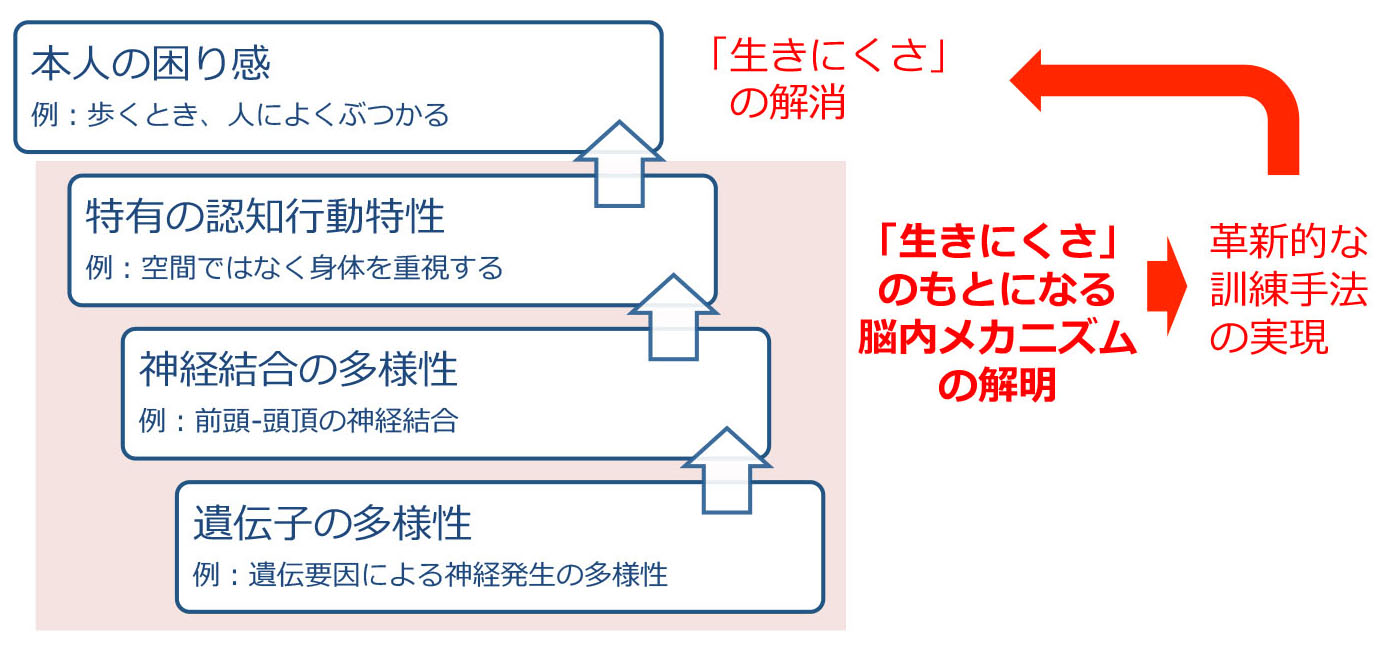 研究の戦略” width=