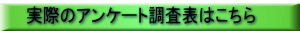 ۂ̃AP[g\͂ 