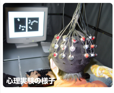 S̗lq̉摜