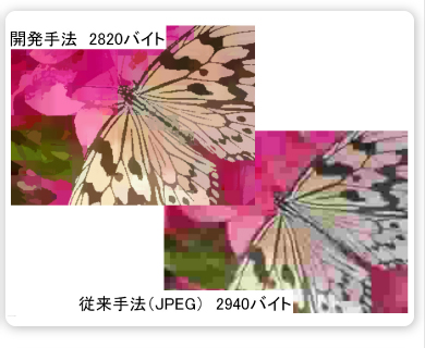 摜]kAA₷`ŕ\ł@̊J